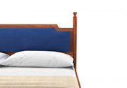 Veyon Sheesham Wood Queen Size Bed Without Storage (Honey Finish)