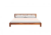 Darvex Sheesham Wood Queen Size Bed Without Storage (Honey Finish)