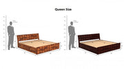 Olyvaris Sheesham Wood Queen Size Bed With Storage (Honey Finish)