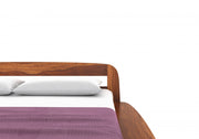 Ravyon Sheesham Wood Queen Size Bed Without Storage (Honey Finish)
