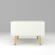 Arvitho HDMR Premium Wood Coffee Table (White)