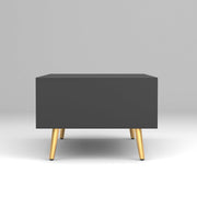 Arvitho HDMR Premium Wood Coffee Table (Black)