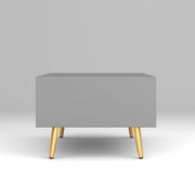 Arvitho HDMR Premium Wood Coffee Table (Grey)