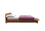 Ravyon Sheesham Wood Queen Size Bed Without Storage (Honey Finish)