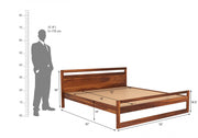 Oraxen Sheesham Wood Queen Size Bed Without Storage (Honey Finish)