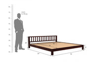 Darvex Sheesham Wood King Size Bed Without Storage (Walnut Finish)