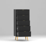 Pravyan HDMR Premium Wood Chest Of Drawer (Black)