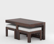 Modern Wooden Coffee Table with Decorative Panel