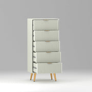 Pravyan HDMR Premium Wood Chest Of Drawer (White)
