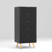 Pravyan HDMR Premium Wood Chest Of Drawer (Black)