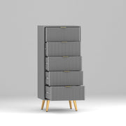 Pravyan HDMR Premium Wood Chest Of Drawer (Grey)