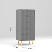 Pravyan HDMR Premium Wood Chest Of Drawer (Grey)