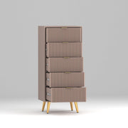 Pravyan HDMR Premium Wood Chest Of Drawer (Mocha Beige)