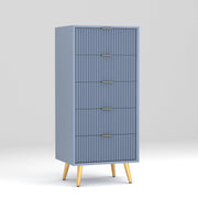 Pravyan HDMR Premium Wood Chest Of Drawer (Slate Blue)