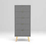 Pravyan HDMR Premium Wood Chest Of Drawer (Grey)
