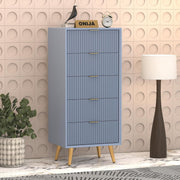 Pravyan HDMR Premium Wood Chest Of Drawer (Slate Blue)