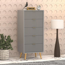 Pravyan HDMR Premium Wood Chest Of Drawer (Grey)