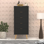 Pravyan HDMR Premium Wood Chest Of Drawer (Black)