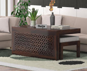 Modern Wooden Coffee Table with Decorative Panel