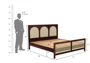 Kathanx Sheesham Wood King Size Bed Without Storage (Walnut Finish)