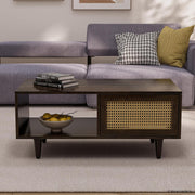 Solid Wood Cane Door Coffee Table with Open Storage Shelf