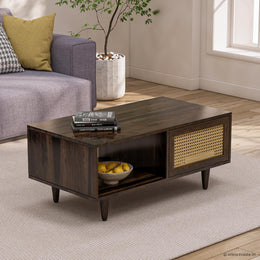 Solid Wood Cane Door Coffee Table with Open Storage Shelf