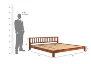 Darvex Sheesham Wood Queen Size Bed Without Storage (Honey Finish)