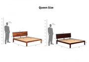 Vardhanx Sheesham Wood Queen Size Bed Without Storage (Honey Finish)
