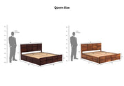 Xavrit Sheesham Wood Queen Size Bed With Storage (Honey Finish)